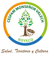 ECICEP programa Adulto CESFAM Monseñor Sergio Valech
